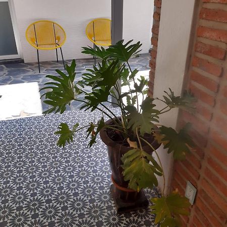 Estudio #5 Casa Fatima, 8 Min Del Centro 1 Persona Guadalajara Kültér fotó