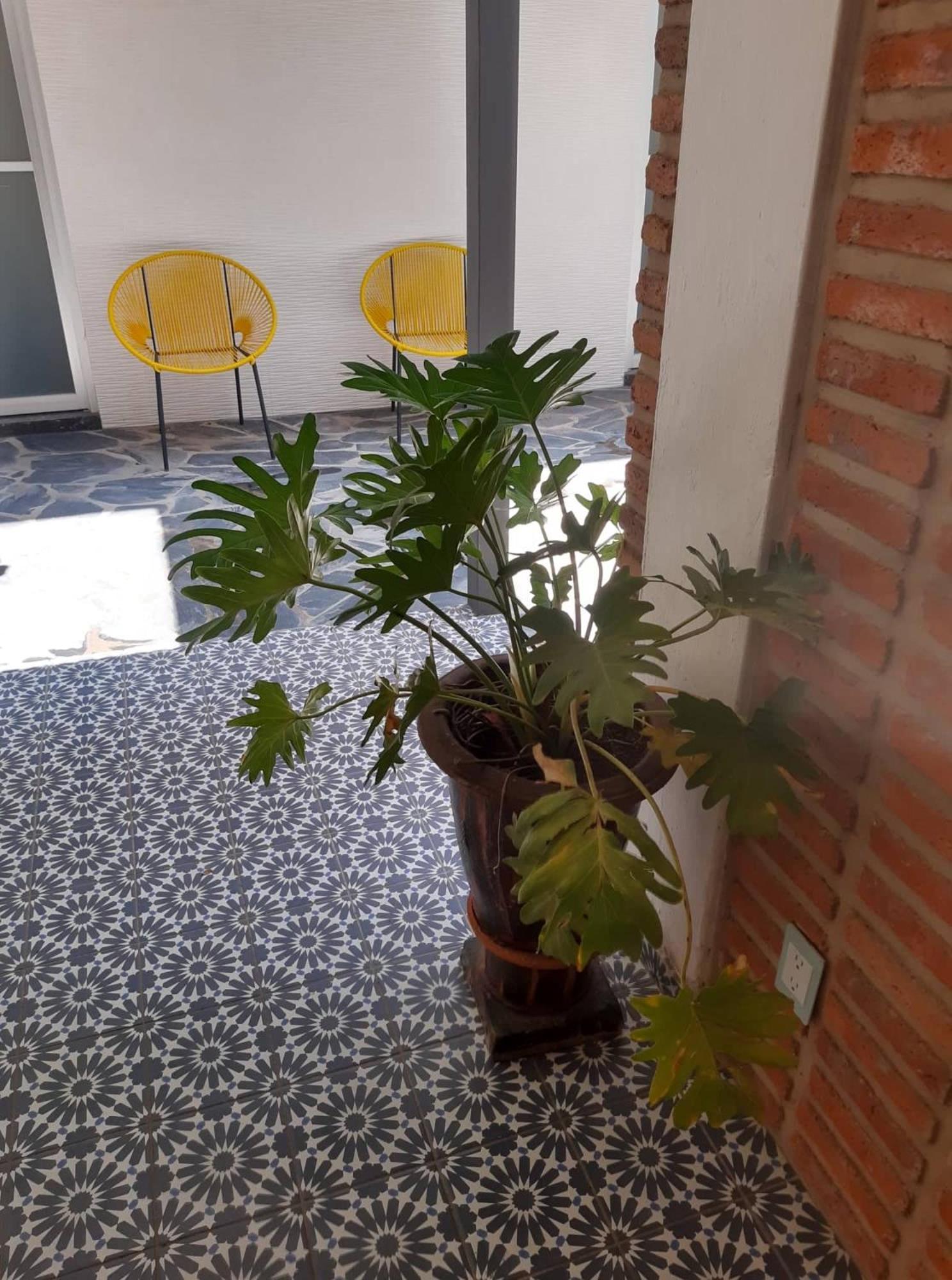 Estudio #5 Casa Fatima, 8 Min Del Centro 1 Persona Guadalajara Kültér fotó